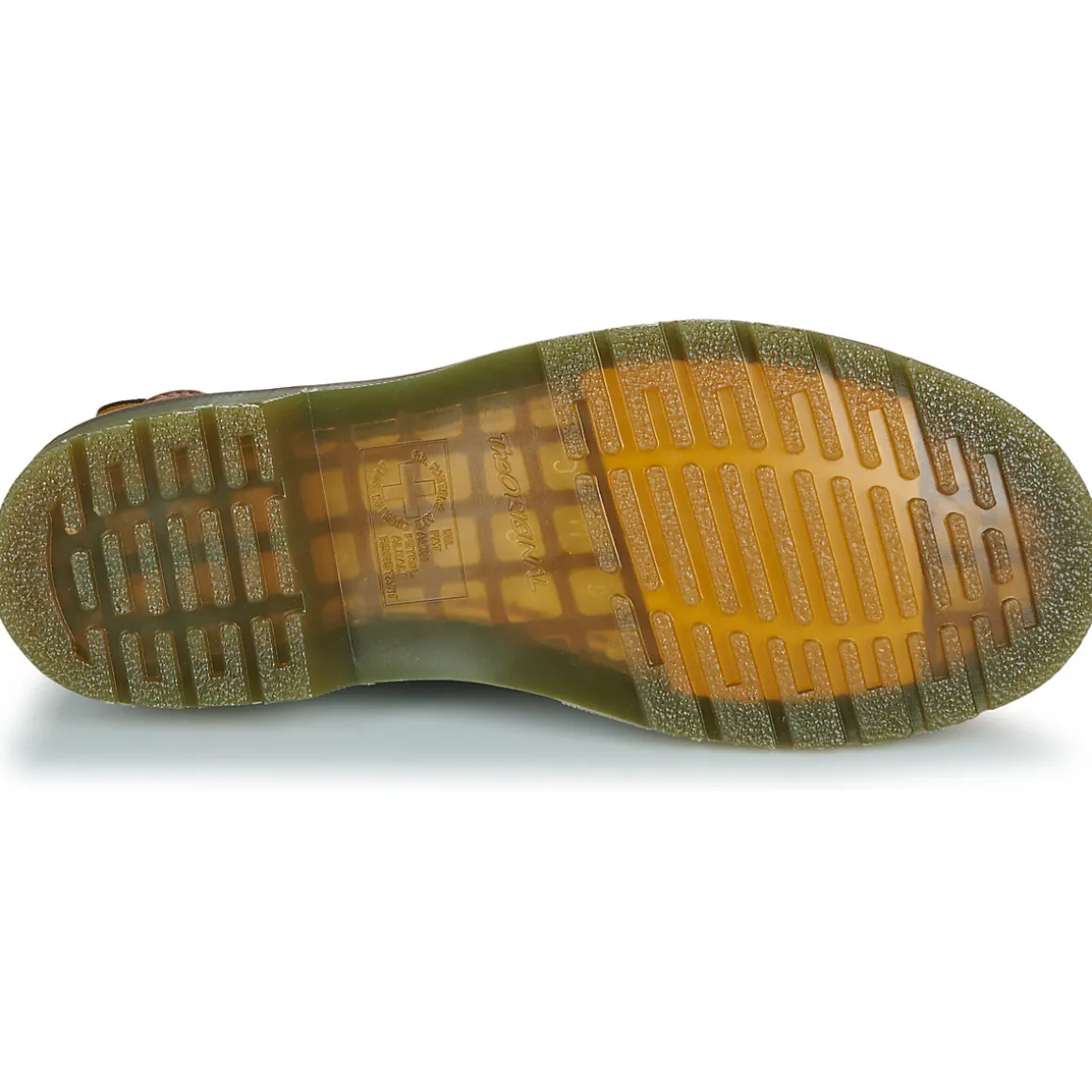 2976 CASHEW AMBASADOR