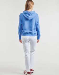 1985 RLX MINI CORP LOGOHOODIE