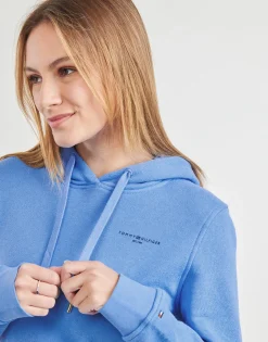 1985 RLX MINI CORP LOGOHOODIE