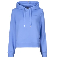 1985 RLX MINI CORP LOGOHOODIE