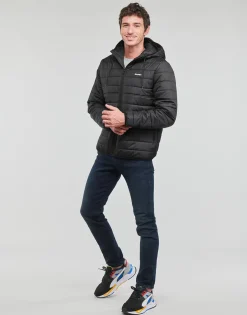 ALDER PUFF FUNDAMENTAL