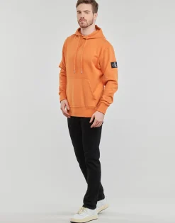 BADGE HOODIE