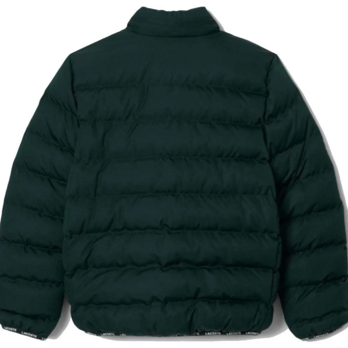 Blousons Lacoste 10150500270419VERDE