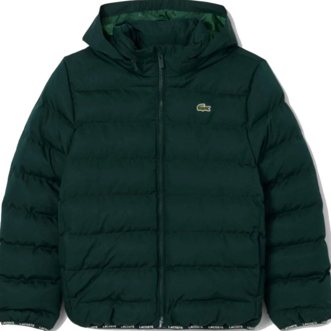 Blousons Lacoste 10150500270419VERDE