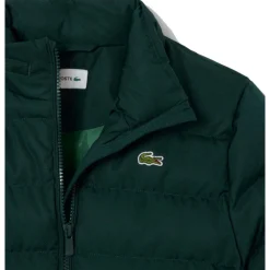 Blousons Lacoste 10150500270419VERDE
