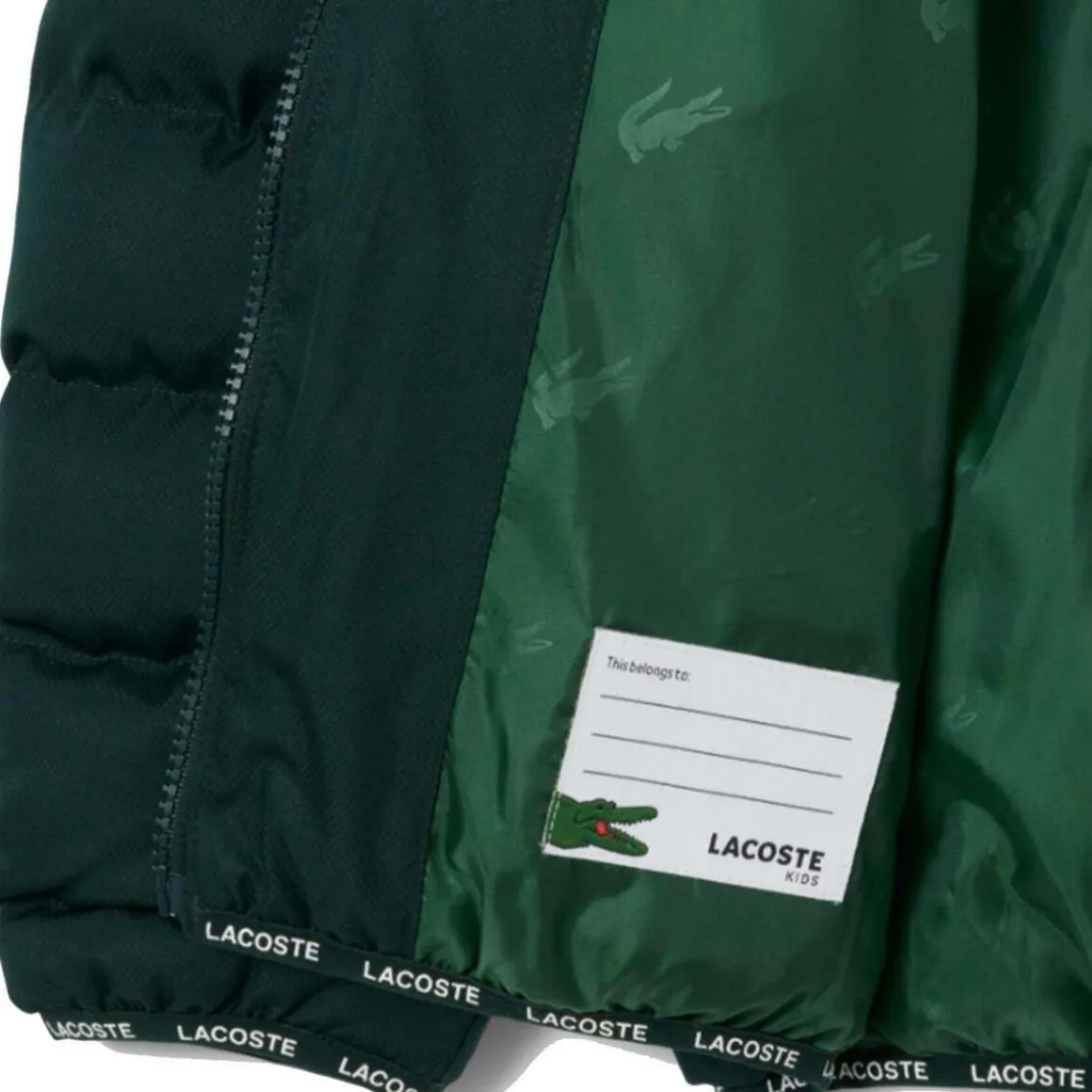 Blousons Lacoste 10150500270419VERDE