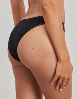 CHARLOTTE BRIEF