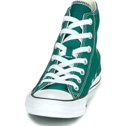 CHUCK TAYLOR ALL STAR FALL TONE