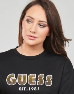 CN SHADED LOGO SWEATSHIRT