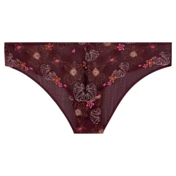 Culotte prune Santal