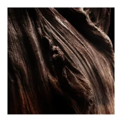 Eau de Parfum Absolus Allegoria Oud Essentiel 125 ml