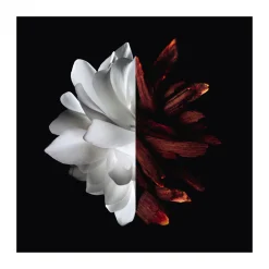 Eau de Parfum L'Interdit Rouge 35ml