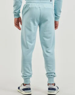 ESS+ 2 COL LOGO PANTS TR CL