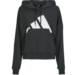 Essentials Big Logo French Terry Loose Hoodie