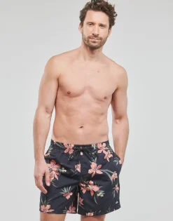 EVERYDAY MIX VOLLEY 17