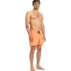 Everyday Solid Volley 15