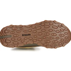 EXPEDITIONIST SHIELD