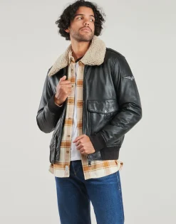 GENNARO (removable collar)