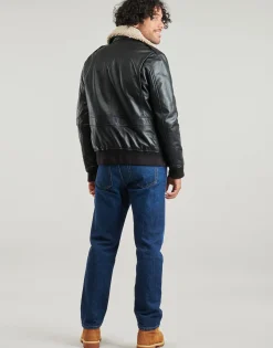 GENNARO (removable collar)