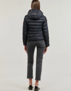 HOODED FUJI PADDED JACKET