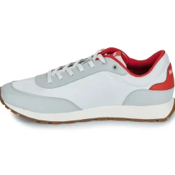 Icelin_runn_pupdny_N