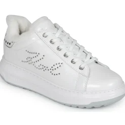 KAPRI LUG Signia Studs Lo Lace