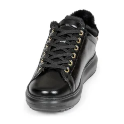 KAPRI LUG Signia Studs Lo Lace