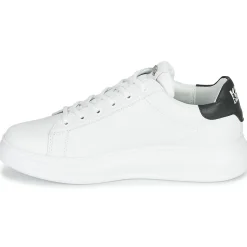 KAPRI MAISON KARL LACE