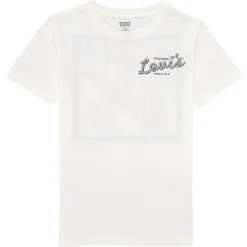 LVB PIZZA DELIVERING COWBOY TE