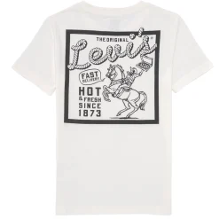 LVB PIZZA DELIVERING COWBOY TE