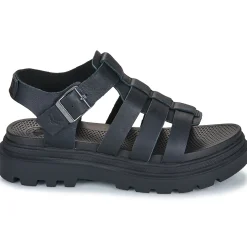 PALLACRUISE FISHERMAN