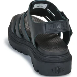 PALLACRUISE FISHERMAN