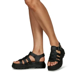 PALLACRUISE FISHERMAN