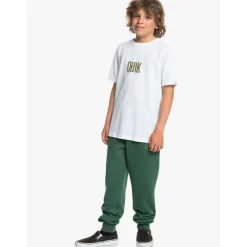 Pantalons cargo Quiksilver 9563758133587Verde