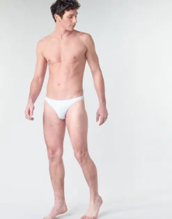 PLUMES MICRO BRIEF