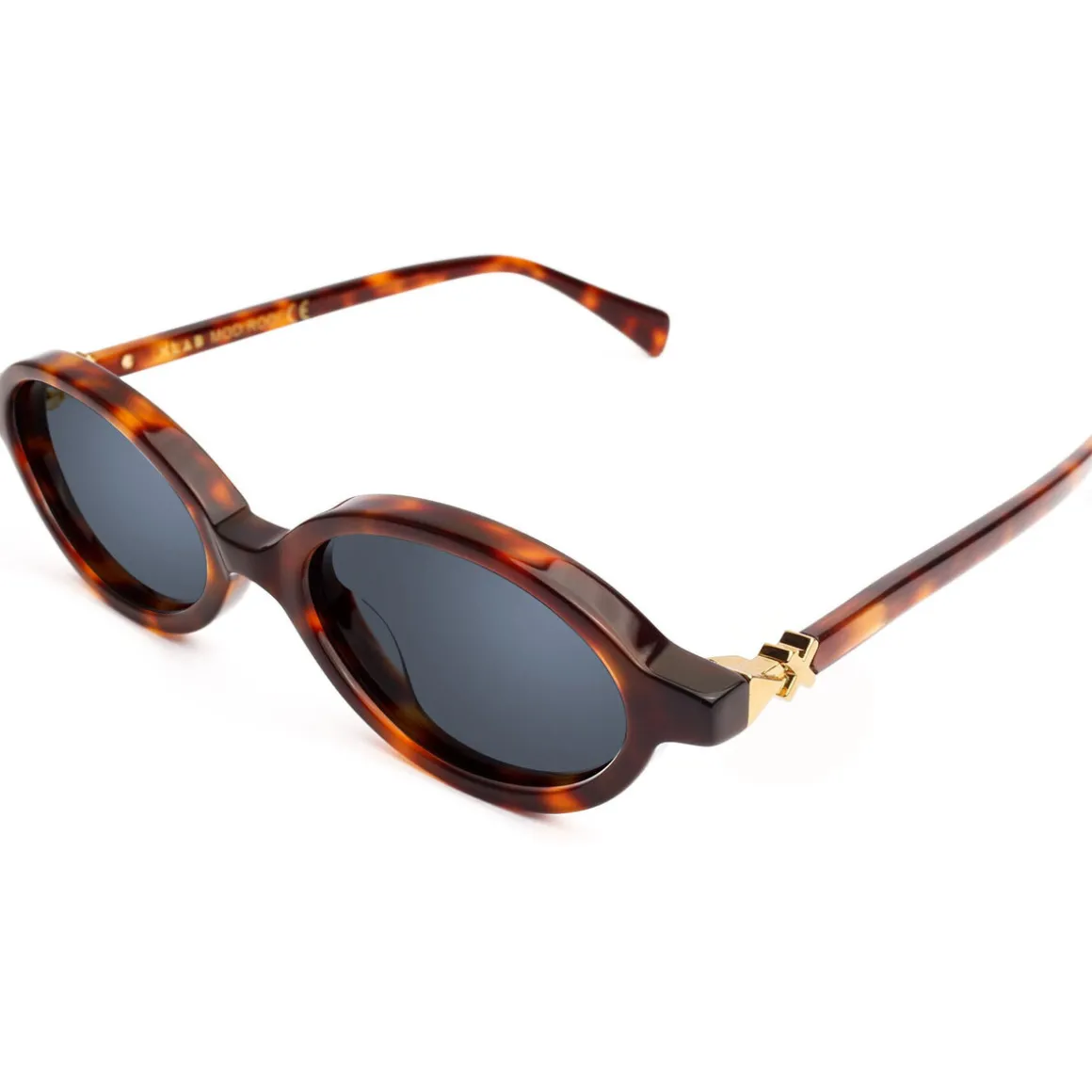 Rodi photochromique couleur écaille/verres neutres gris pho