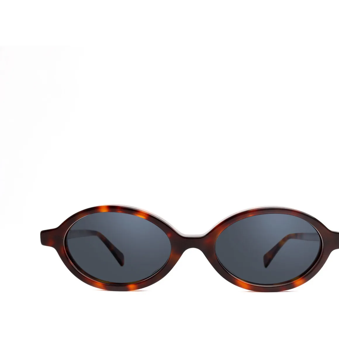 Rodi photochromique couleur écaille/verres neutres gris pho