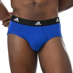 Slips, lot de 3, active flex coton