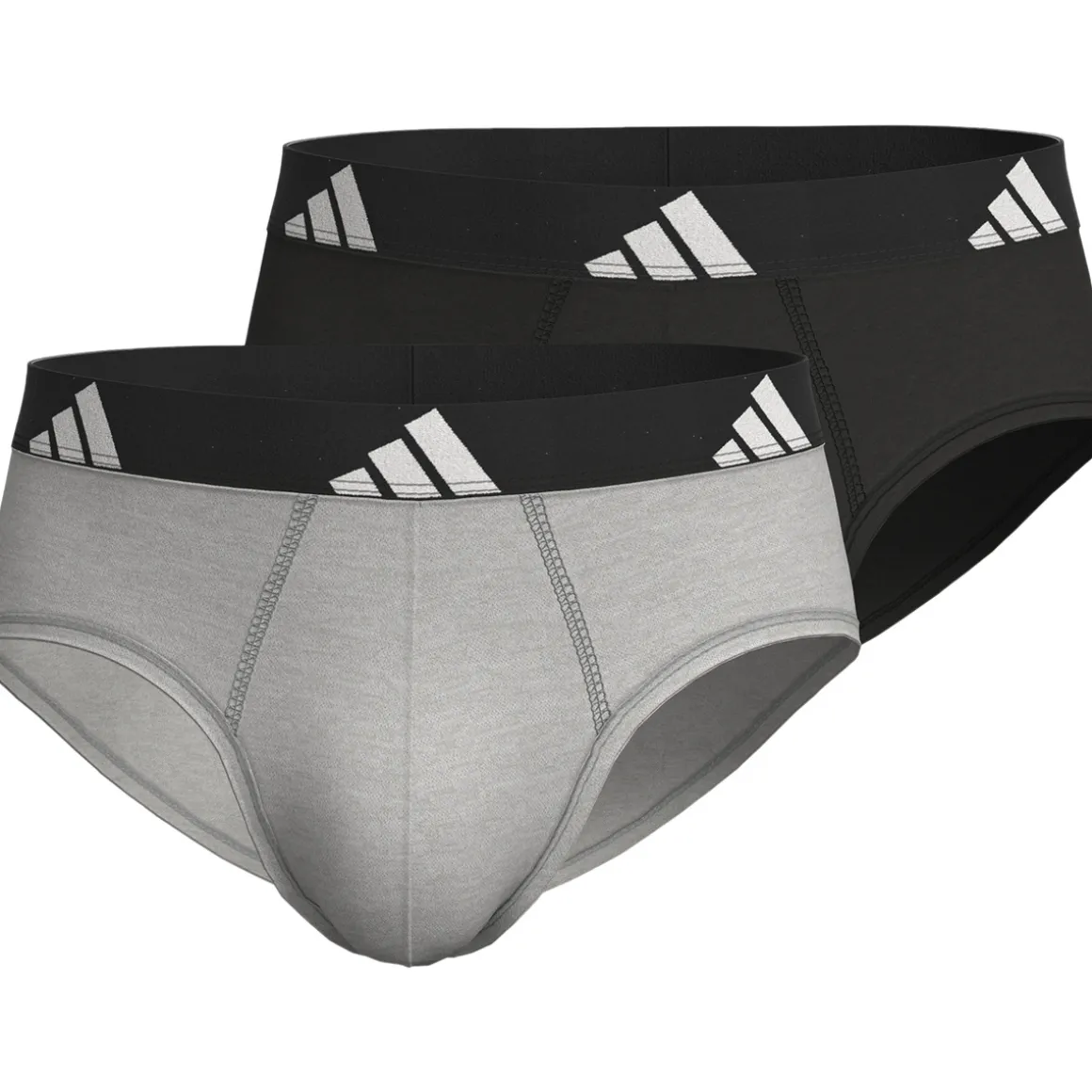 Slips, lot de 2, ACTIVE FLEX COTTON