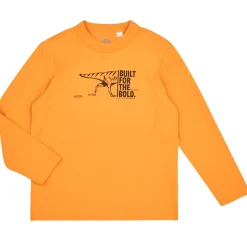 TEE-SHIRT MANCHES LONGUES T60301