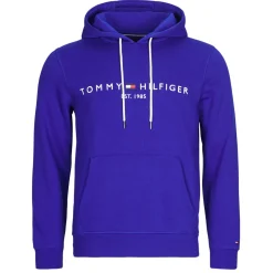TOMMY LOGO HOODY