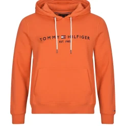 TOMMY LOGO HOODY