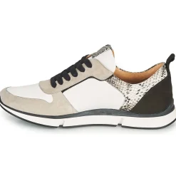 VANILLE V5 PYTHON ICE